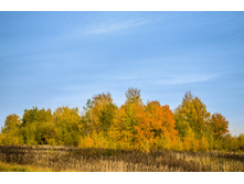 ������� ���ԣ�.jpg