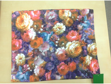 ��������� RFZ.jpeg