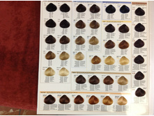 ������ hi-fi 1.jpg