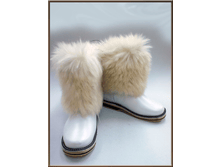 gn25.png  ������ 27�� 2800�