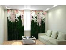 ������ ����