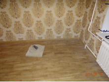 ������ (17).jpg