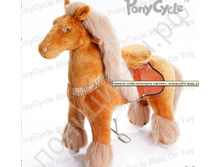 ���������� ����.JPG