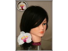 ����� ������� �� �������� �������...80���.jpg