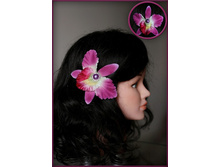 ����� ������� �����(�����)..155���.jpg