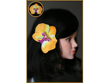 ����� ������� ������� �����...85���.jpg