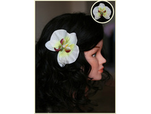 ����� ������� ������� ����...110���.jpg