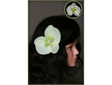 ����� ������� ������ ��.�������..100���.jpg