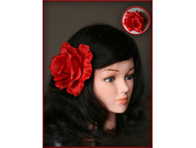 ����� ���� ������ (�����)...200���.jpg