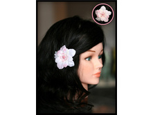 ��������� ���������� ������(���) ���� ����...80���.jpg