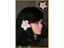 ��������� ���������� ������(������) ����-����...80���.jpg