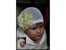 ������ ��������� ������� � �������� ���������... 450 ���.