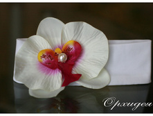 �������. 350���.jpg