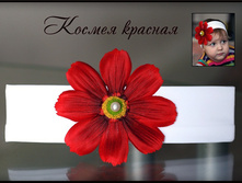 ������� �� ������ ������ �������...350���  ������ �������.jpg