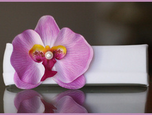 ������� �� ������ ������� ������-���������...350.jpg