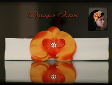 ������� ������� ����...330���.jpg