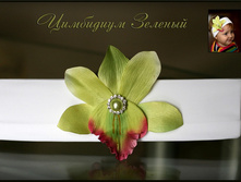 ������� ��������� �������...350��� ������ �������.jpg