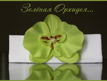 ��������� ������� ������� 350���.jpg