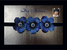 ������ ��������� ������� ��� ������..350���.jpg