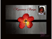 ������ ������� �� ������ ������� ����� 340 �.jpg