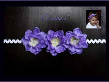 ������ ��������� ������...350���.jpg