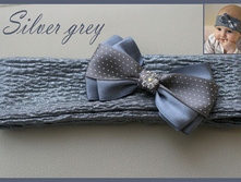 Silver Grey 350���.jpg