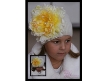 ������� ����� (�����-�����)������� � ������� ������ .. 450�.