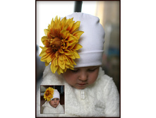 ����� ������� � ���������� �����-���.���������... 450 �.