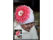 ����� ������� � ������� �������� (��������)... 450 �.