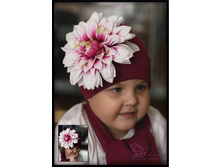 �������� ������� � ������� ���������.. 450 �