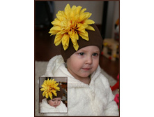 ���������� ������� ���������� ������ ���������... 450 �