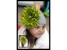 ����� ������� � ����������� �������� 460 ���