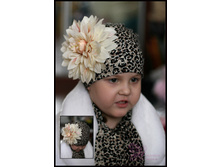 ����� ����������� ��������� � ������� ���������� ��������� 450 ���.