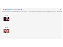 Screenshot_77.png