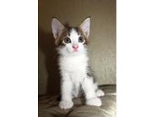 ������� 2.jpg