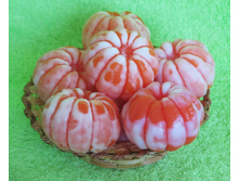 �������� ���������.jpg