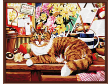 PO-G0_30 ��_��� ��� 40�50, 600�.jpg