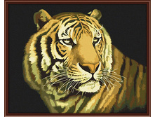 PO-G0_36 ���_������ ���_��� 40�50, 600 �.jpg