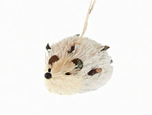 n6250417.jpg  187�