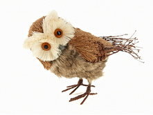 n6250431.jpg  498�