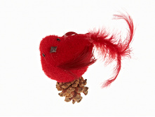 n6250439.jpg  128�