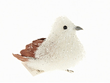 n6250452.jpg  151�