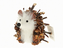 n6250459.jpg  246�