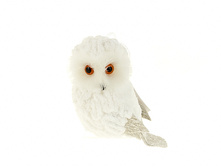 n6350017.jpg ���12��   213�