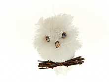 n6350051.jpg  ��� 24��  217�