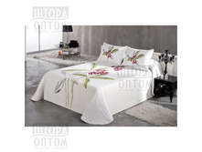 �������� ����.jpg