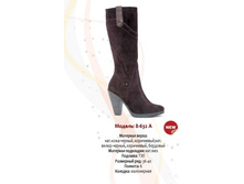 3800+% - ������ ����, 4200+% �������