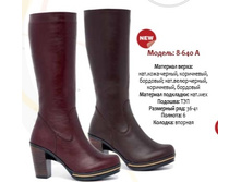 3800+% ������ ����,, 4200+% �������