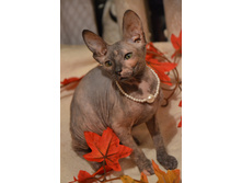 DSC_0817 (853x1280).jpg