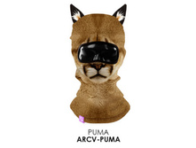 ARCV-PUMA